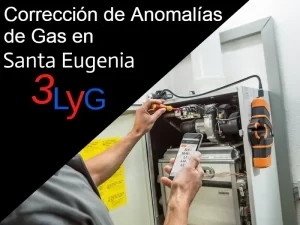 Corrección de Anomalías de Gas en Santa Eugenia correccion de anomalias de gas en Santa Eugenia